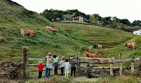 ruta senderismo navarra|10 senderos bonitos y fáciles para hacer en Navarra